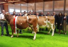 Erfolgreiche Premiere in Tirol: 1. Oberlandschau