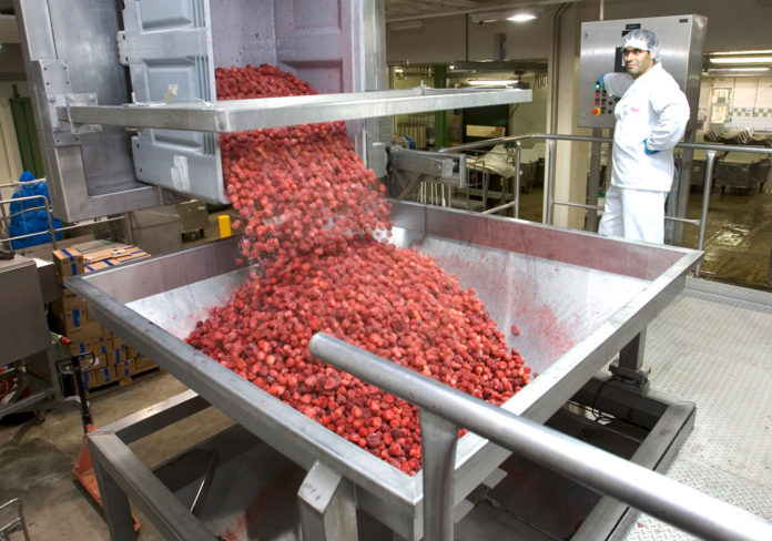 Strawberry Preparation