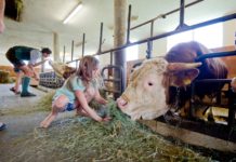 Urlaub am Bauernhof: Chance für Neueinsteiger