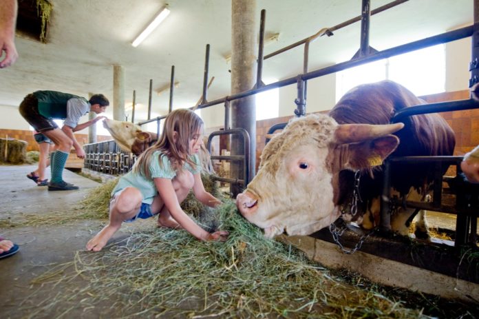 Urlaub Am Bauernhof 3