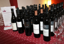 Toller Erfolg für Südburgenlands Winzer beim Weinfrühling Südburgenland 2017