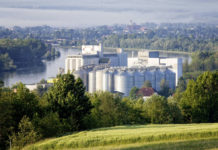 Österreichs wichtigstes Getreidelager – RWA und Lagerhäuser laden ein zur Eröffnung