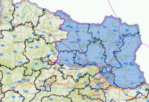 Afrikanische Schweinepest vor Österreichs Grenzen