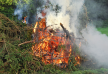 Rupprechter: Hitzewelle erhöht Waldbrandrisiko