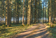 Die eigene Freiheit endet dort, wo das Recht des anderen beginnt