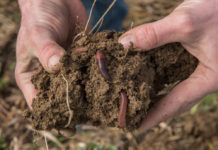 Bio Austria zu EU-Bio-Recht: Nichts geht mehr – Weiterverhandeln unter selben Vorzeichen nicht zielführend