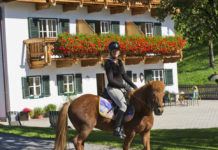 Gewerbeordnung – bis zu 25 Einstellpferde gelten als landwirtschaftliche “Urproduktion”