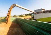 „Respektable Ernte unter schwierigen Bedingungen eingebracht“