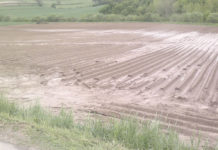 Glyphosat – Schultes kontert Rendi-Wagner