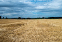 Ausnahmeregelung für Teilnehmer am “System Immergrün” im Jahr 2017