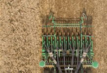 Begrünung/Zwischenfruchtanbau: Spätester Anlagezeitpunkt für Variante 1 und 2 naht