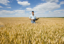 Förderungen für Junglandwirte