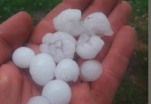 Hagel schädigte die Landwirtschaft schwer