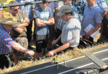 ÖKL Praxisseminar: Nicht nur für Vermehrungen – schonend und zugleich mit hohem Durchsatz dreschen