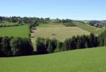 EU-Agrarminister überwiegend gegen Kofinanzierung der 1. Säule