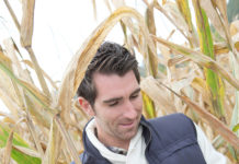 Freie Plätze für Masterstudium in Wieselburg