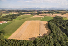 Nach vier Jahren Rückgang sind Bauerneinkommen erstmals gestiegen