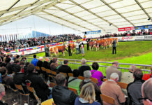 150 Jahre Rieder Messe: Viel Neues zum Jubiläum