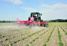 Pflanzenschutz auf Ökoflächen: Geht Acker- und Sojabohne auch ohne?