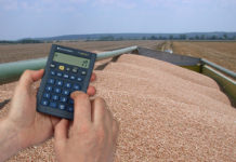 FAO-Lebensmittelpreisindex im Juli weiter angestiegen