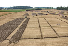 Österreichs Pflügerelite trifft sich im Burgenland