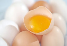 Keine Fipronil-belasteten Eier in Österreich