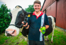 Der Moocall-Sesensor auf Kühen fungiert als Geburtsanzeiger