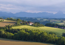 Programm Ländliche Entwicklung adaptiert