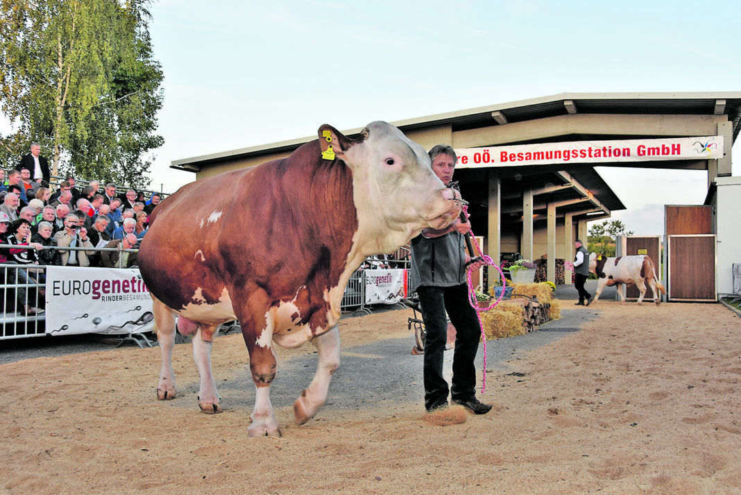 20 Jahre Besamungsstation