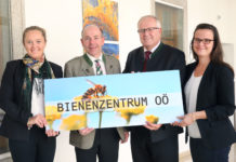 Oberösterreich eröffnet das bundesweit erste Bienenzentrum