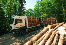 Lagerhäuser aktivieren alle Kanäle, um Waldbauern zu unterstützen