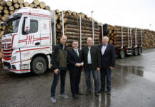 Erleichterung zum Abtransport von Schadholz