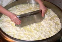 Heimische Landwirtschaft produzierte 2016 mehr Milch, Eier und Fische