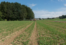 Verbot der Ausbringung von stickstoffhältigen Düngemitteln