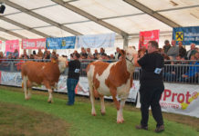 Ried: Jubiläumsmesse erfüllte hohe Erwartungen