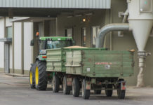 AMA bestätigt niedrige Getreideerträge 2017