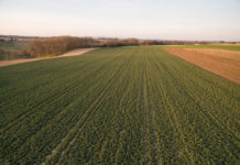 AMA: Online-Herbstantrag 2017 bis spätestens 16. Oktober einreichen