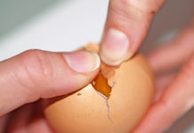 Fipronil-Skandal bringt höhere Ei-Erzeugerpreise