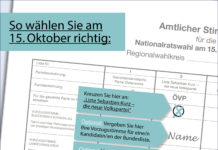 So vergeben Sie Ihre Stimme