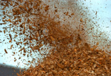 Erneuerbare Energie Österreich verfasst Pflichtenheft für neue Bundesregierung