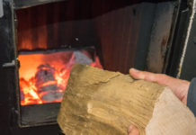 Heute, 27. Oktober, ist der heimische Bioenergy Day