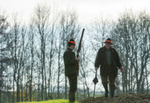 Leichter Rückgang der Abschusszahlen im Jagdjahr 2016/2017