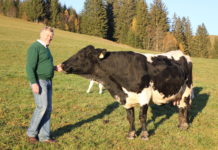 Eßl: Hohe Tierschutzstandards bei Nutztieren sichern heimische Lebensmittelqualität