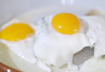 Österreichische Eierdatenbank als Unikum in Europa