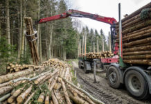 Holzmarkt November 2017 – Rundholzbedarf anhaltend hoch