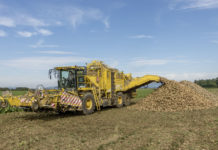 Alles rund um die Rübenernte – Agrana Feldtag in Dürnkrut (NÖ)