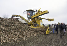 Agrana-Erntetag – Zuckerrübenernte mit Minimalköpfung