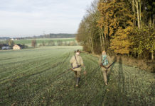 NÖ: Verpflichtung zur flächendeckenden Jagd