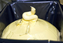 Milchmarkt – Anlieferung hoch, Rohstoffwert etwas schwächer