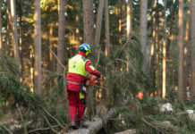 10. Österreichische Holzgespräche unter dem Motto “Holz: Wir machen mobil”